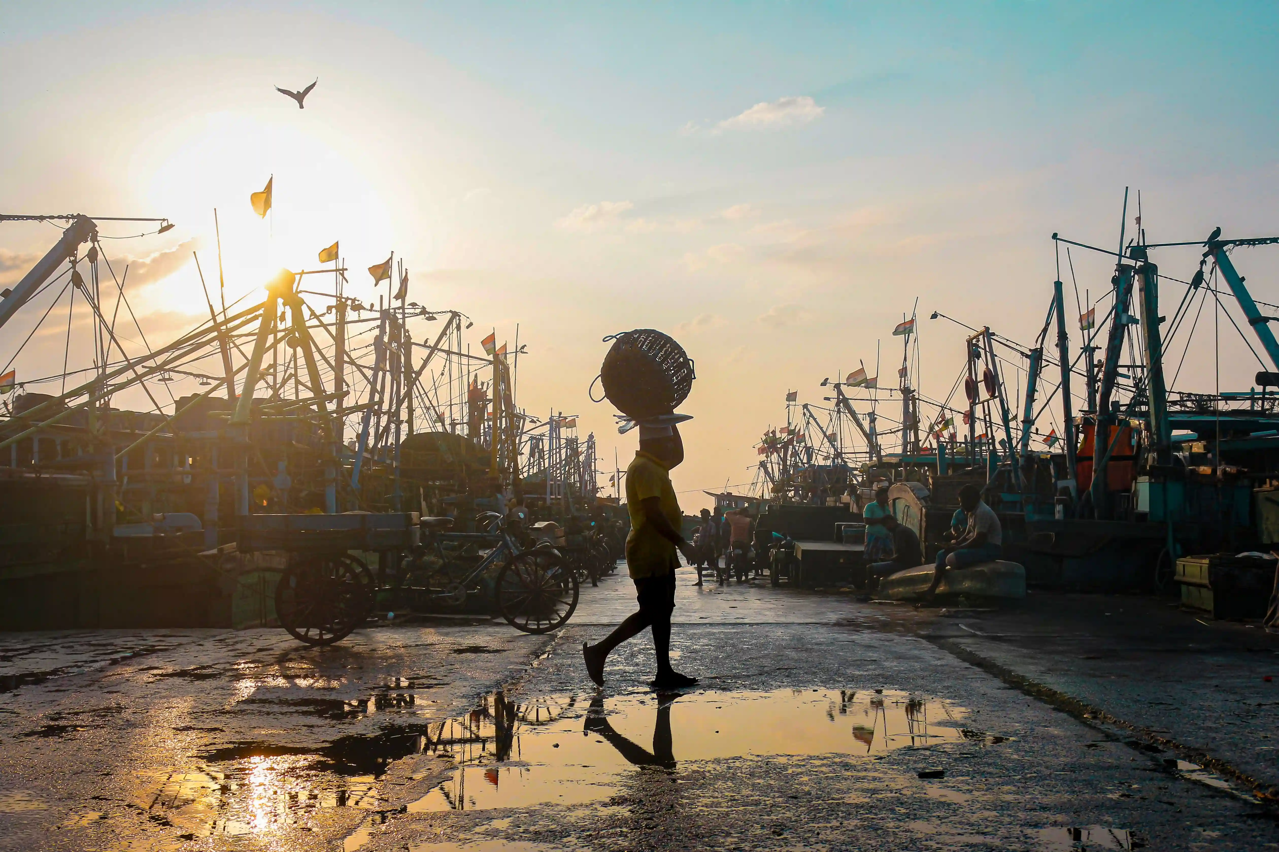 Fishing boats moored at Kasimedu quay at dawn with baskets of the morning catch on the shore